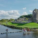 Horses crossing by Ogmore Castle