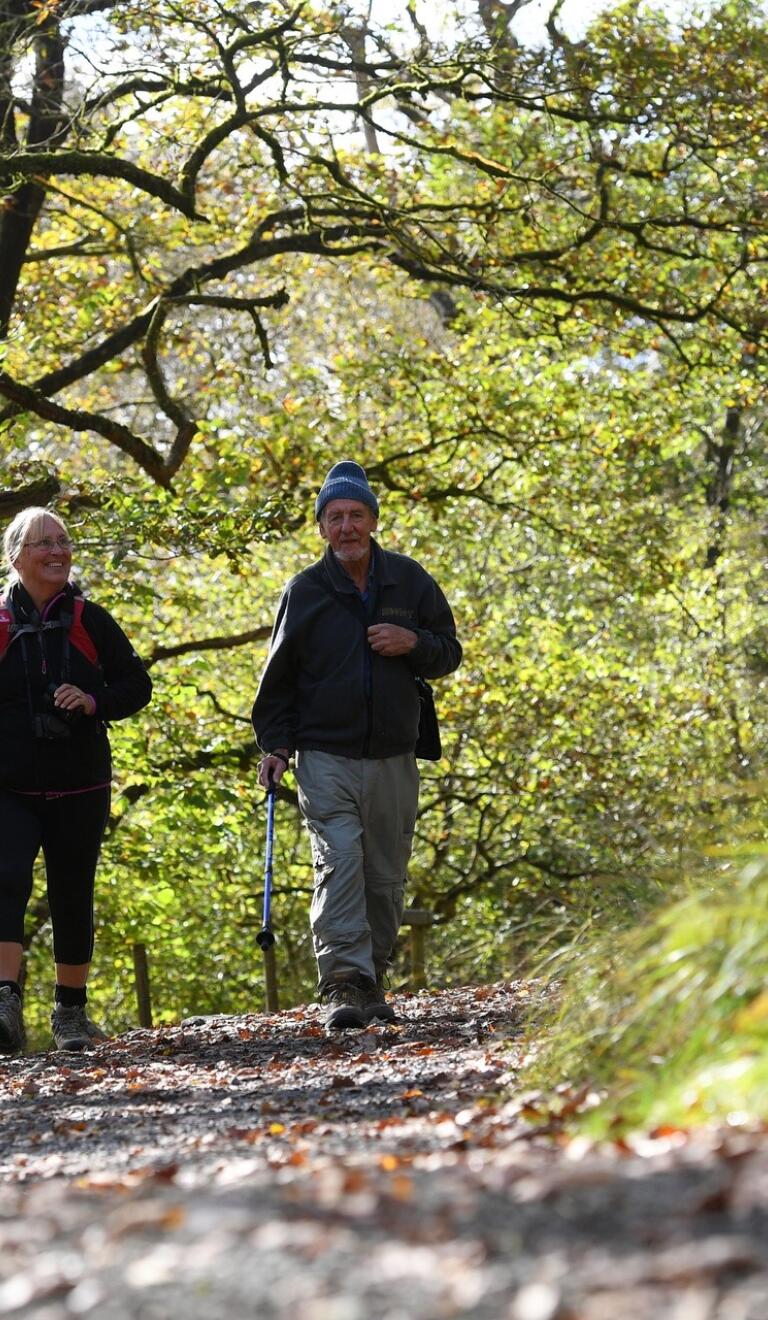 Walkers on the waterfall trail.