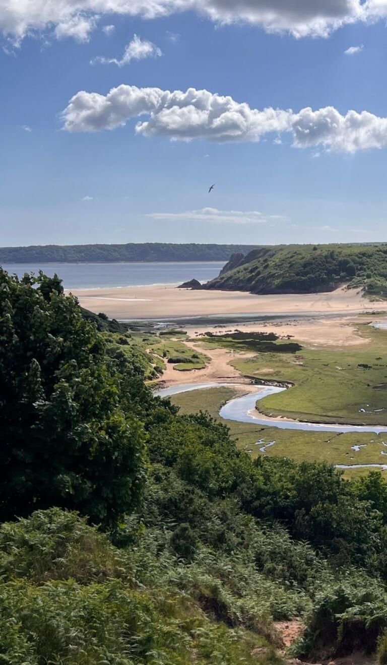 cliffs and field leading to sandy beach.